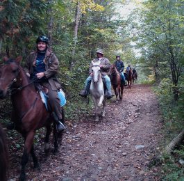 trail riding in Copeland forest
