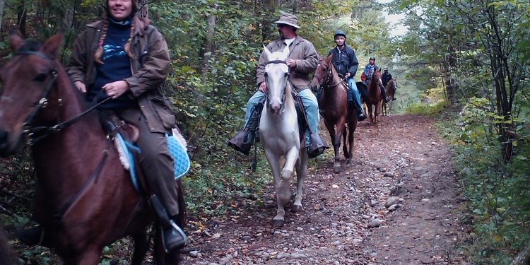 trail riding in Copeland forest