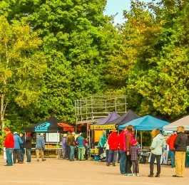 Copeland Forest Friends event launch