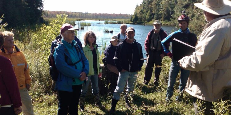 A wetland workshop at the DU Pond