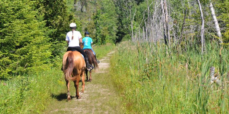 Horseback Riders on the 3rd line of Copeland Forest