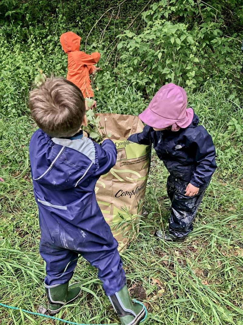 Forest School Bags_web_001 three young children help collect the invasive garlic mustard plants pulled by volunteers