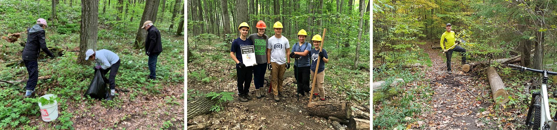 photos of volunteers and junior rangers working to steward the copeland forest